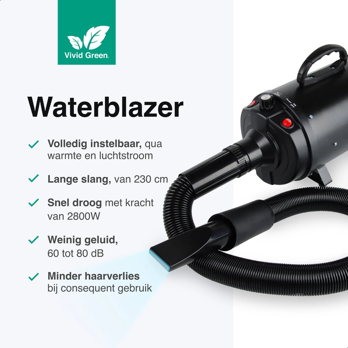 Vivid Green Waterblazer Met 3 Opzetstukken - Hondenfohn - Voor Honden - Met Geluiddemper - 2800W 2 Vivid Green Waterblazer Met 3 Opzetstukken - Hondenfohn - Voor Honden - Met Geluiddemper - 2800W - Afbeelding 2