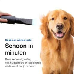 Vivid Green Waterblazer Met 3 Opzetstukken - Hondenfohn - Voor Honden - Met Geluiddemper - 2800W 16 Vivid Green Waterblazer Met 3 Opzetstukken - Hondenfohn - Voor Honden - Met Geluiddemper - 2800W -Katten En Honden Verkoop Winkel 1200x1200 124