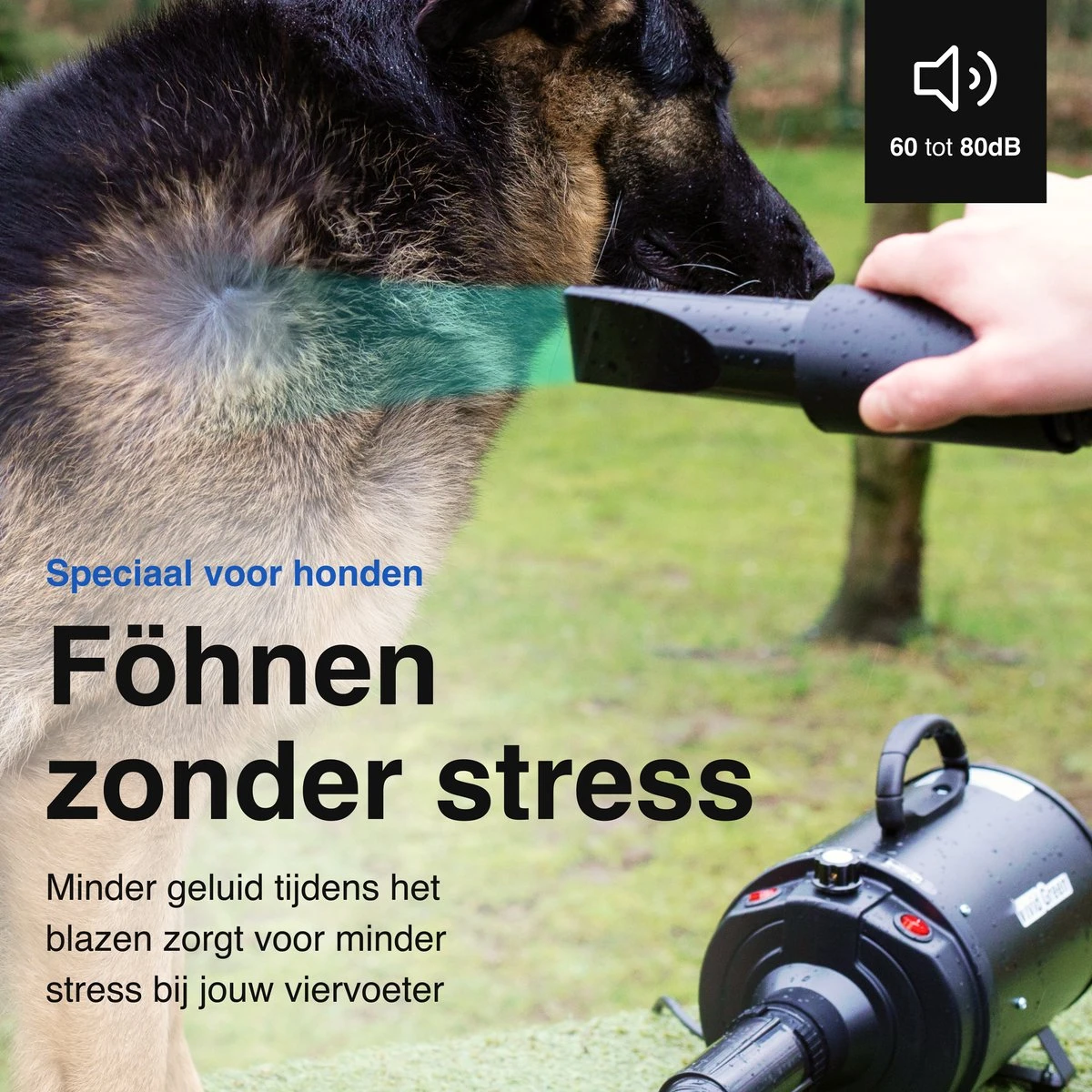 Vivid Green Waterblazer Met 3 Opzetstukken - Hondenfohn - Voor Honden - Met Geluiddemper - 2800W 9 Vivid Green Waterblazer Met 3 Opzetstukken - Hondenfohn - Voor Honden - Met Geluiddemper - 2800W - Afbeelding 9