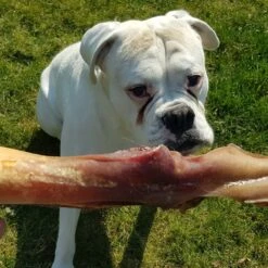 Topdiervoeding Runderkophuid Hondensnacks - Vers Gedroogd - 30cm - 1000 Gram -Katten En Honden Verkoop Winkel 1200x1200 136