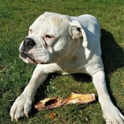 Topdiervoeding Runderkophuid Hondensnacks - Vers Gedroogd - 30cm - 1000 Gram -Katten En Honden Verkoop Winkel 1200x1200 137