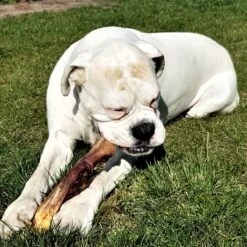 Topdiervoeding Runderkophuid Hondensnacks - Vers Gedroogd - 30cm - 1000 Gram -Katten En Honden Verkoop Winkel 1200x1200 138