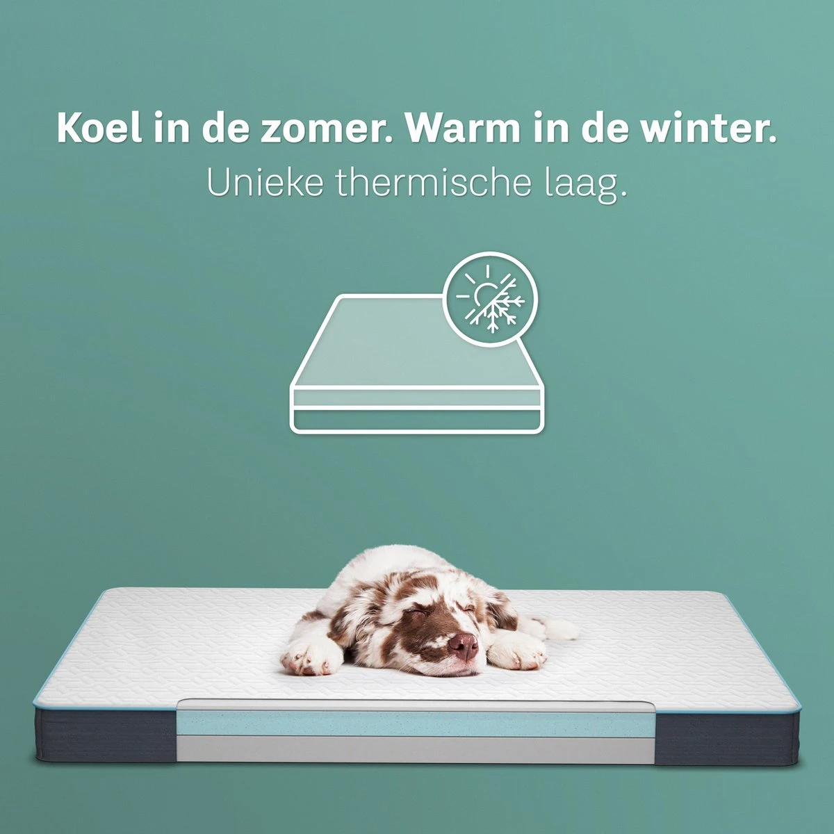 CozySense® - Orthopedisch Hondenkussen - Hondenkussen 75 X 45 Cm - Ook Geschikt Als Benchkussen & Hondenbed - Hondenkussen Bank - Traagschuim - Waterdicht - Wasbare Hoes - Maat M 4 CozySense® - Orthopedisch Hondenkussen - Hondenkussen 75 X 45 Cm - Ook Geschikt Als Benchkussen & Hondenbed - Hondenkussen Bank - Traagschuim - Waterdicht - Wasbare Hoes - Maat M - Afbeelding 4