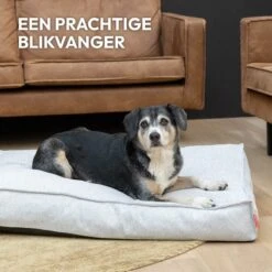 Snoozle Orthopedische Hondenmand - Zacht En Luxe Hondenkussen - Hondenbed - Wasbaar - Hondenmanden - 100 X 70 Cm - Stormy Grey -Katten En Honden Verkoop Winkel 1200x1200 152
