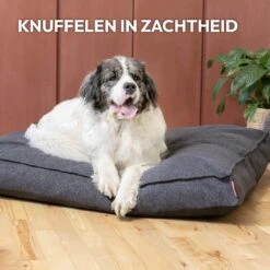 Snoozle Orthopedische Hondenmand - Zacht En Luxe Hondenkussen - Hondenbed - Wasbaar - Hondenmanden - 100 X 70 Cm - Stormy Grey -Katten En Honden Verkoop Winkel 1200x1200 156