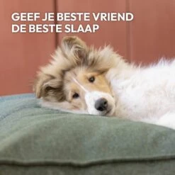 Snoozle Orthopedische Hondenmand - Zacht En Luxe Hondenkussen - Hondenbed - Wasbaar - Hondenmanden - 100 X 70 Cm - Stormy Grey -Katten En Honden Verkoop Winkel 1200x1200 157