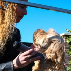 Clipr Ultimate 2-speed Hondentondeuse Op Accu -Katten En Honden Verkoop Winkel 1200x1200 174