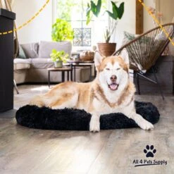 All 4 Pets Supply® Hondenmand Donut - Maat XL - Geschikt Voor Honden Tot 100 Cm - Hondenkussen - Zwart 12 All 4 Pets Supply® Hondenmand Donut - Maat XL - Geschikt Voor Honden Tot 100 Cm - Hondenkussen - Zwart -Katten En Honden Verkoop Winkel 1200x1200 208