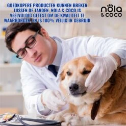 Nola & Coco® Tandsteen Verwijderaar Set Inclusief Bewaardoosje - Tandenkrabber - Set Van Twee - Hond - Kat - Tandenborstel - Tandplak Verwijderen - Tandenstoker - Honden Tanden Schoonmaken - Tandenhaakje - Gebitsreiniging -Katten En Honden Verkoop Winkel 1200x1200 220