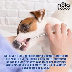Nola & Coco® Tandsteen Verwijderaar Set Inclusief Bewaardoosje - Tandenkrabber - Set Van Twee - Hond - Kat - Tandenborstel - Tandplak Verwijderen - Tandenstoker - Honden Tanden Schoonmaken - Tandenhaakje - Gebitsreiniging -Katten En Honden Verkoop Winkel 1200x1200 222