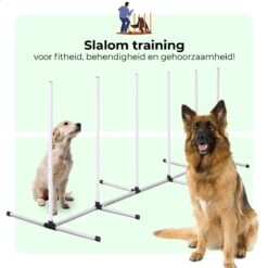 AYOO Agility Voor De Hond - Honden Training - Honden Behendigheid Set - Hondenparcours - Training Huisdieren - Honden Agility Set - Slalom - Horde - Draagzak - Agility Set - Oranje - Wit - GRATIS Speeltouw -Katten En Honden Verkoop Winkel 1200x1200 247