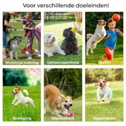 AYOO Agility Voor De Hond - Honden Training - Honden Behendigheid Set - Hondenparcours - Training Huisdieren - Honden Agility Set - Slalom - Horde - Draagzak - Agility Set - Oranje - Wit - GRATIS Speeltouw -Katten En Honden Verkoop Winkel 1200x1200 248