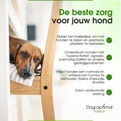 RUST EN KALMEREN CALMING Support 120 Stuks - Kalmeren - AntistressmiddelHond - Hond - Hondenkoekjes - Hondensupplementen - Honden - Puppy - Hondenvoeding -Katten En Honden Verkoop Winkel 1200x1200 263