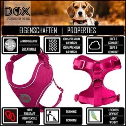 DDOXX Hondenharnas, Reflecterend, Verstelbaar, Breakaway | Borstharnas Voor Klein, Middelgroot | Hondenharnas Hond Kat Puppy Auto | Kattenharnas Puppy Harnas | Roze Roze, S -Katten En Honden Verkoop Winkel 1200x1200 276