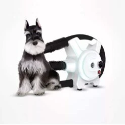 Hondenfohn - Waterblazer Met Draaiknop - 2400W Vermogen Met Warme En Koude Stand - Wit -Katten En Honden Verkoop Winkel 1200x1200 304