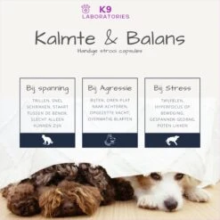 K9 Laboratories Kalmte & Balans - Hond - 60 Stuks - Bij Stress, Angst En Agressie - Ashwagandha - L-tryptofaan - Passiebloem - Valeriaanwortel - Lavendel -Katten En Honden Verkoop Winkel 1200x1200 308