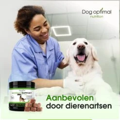 DOG OPTIMAL Gewricht Supplement 120 Stuks - Mobility - Glucosamine Hond - Artrose - Heupdysplasie - Gewrichten - Hondensnacks - Hondenkoekjes - Hondensupplementen - Honden - Puppy - Hondenvoeding 10 DOG OPTIMAL Gewricht Supplement 120 Stuks - Mobility - Glucosamine Hond - Artrose - Heupdysplasie - Gewrichten - Hondensnacks - Hondenkoekjes - Hondensupplementen - Honden - Puppy - Hondenvoeding -Katten En Honden Verkoop Winkel 1200x1200 312