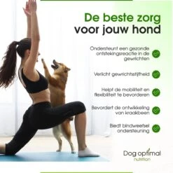 DOG OPTIMAL Gewricht Supplement 120 Stuks - Mobility - Glucosamine Hond - Artrose - Heupdysplasie - Gewrichten - Hondensnacks - Hondenkoekjes - Hondensupplementen - Honden - Puppy - Hondenvoeding 12 DOG OPTIMAL Gewricht Supplement 120 Stuks - Mobility - Glucosamine Hond - Artrose - Heupdysplasie - Gewrichten - Hondensnacks - Hondenkoekjes - Hondensupplementen - Honden - Puppy - Hondenvoeding -Katten En Honden Verkoop Winkel 1200x1200 314