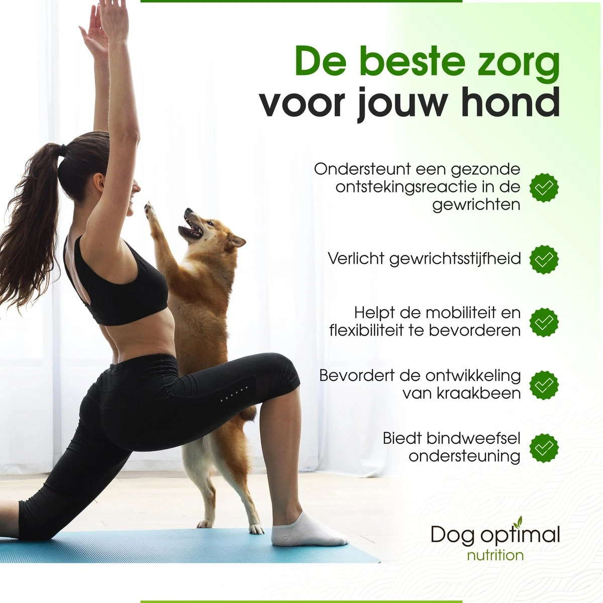 DOG OPTIMAL Gewricht Supplement 120 Stuks - Mobility - Glucosamine Hond - Artrose - Heupdysplasie - Gewrichten - Hondensnacks - Hondenkoekjes - Hondensupplementen - Honden - Puppy - Hondenvoeding 5 DOG OPTIMAL Gewricht Supplement 120 Stuks - Mobility - Glucosamine Hond - Artrose - Heupdysplasie - Gewrichten - Hondensnacks - Hondenkoekjes - Hondensupplementen - Honden - Puppy - Hondenvoeding - Afbeelding 5