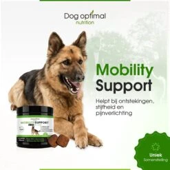 DOG OPTIMAL Gewricht Supplement 120 Stuks - Mobility - Glucosamine Hond - Artrose - Heupdysplasie - Gewrichten - Hondensnacks - Hondenkoekjes - Hondensupplementen - Honden - Puppy - Hondenvoeding 13 DOG OPTIMAL Gewricht Supplement 120 Stuks - Mobility - Glucosamine Hond - Artrose - Heupdysplasie - Gewrichten - Hondensnacks - Hondenkoekjes - Hondensupplementen - Honden - Puppy - Hondenvoeding -Katten En Honden Verkoop Winkel 1200x1200 315