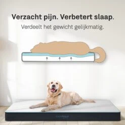CozySense® - Orthopedisch Hondenkussen - Hondenkussen 90 X 55 Cm - Ook Geschikt Als Benchkussen & Hondenbed - Hondenkussen Bank - Traagschuim - Waterdicht - Wasbare Hoes - Maat L -Katten En Honden Verkoop Winkel 1200x1200 320