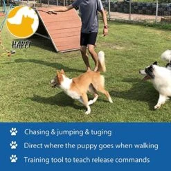 CF Pack - Hond Buitenspeelgoed Actief Behendigheid Touw Dog Flirt Pole Flirtpole Toy Tug Tease Wand Non-Bungee Cord Dog Toy For Fun Obedience Training Extandable Toy Honden Speelgoed Hondenspeelgoed Behendigheidspeelgoed -Katten En Honden Verkoop Winkel 1200x1200 332