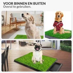 Merkloos Hondentoilet Kunstgras Met Bak - Indoor Dierentoilet - Uitneembare Opvangbak - Puppy Training Pets - Outdoor/Balkon/Tuin/Indoor Toilet - 50x64 Cm -Katten En Honden Verkoop Winkel 1200x1200 338