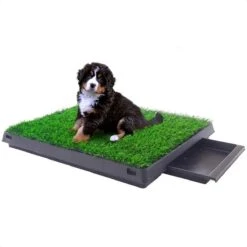 Merkloos Hondentoilet Kunstgras Met Bak - Indoor Dierentoilet - Uitneembare Opvangbak - Puppy Training Pets - Outdoor/Balkon/Tuin/Indoor Toilet - 50x64 Cm -Katten En Honden Verkoop Winkel 1200x1200 340