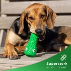 Tandenborstel Hond Melk Geur Smaak En Piep Honden Speelgoed Dog Toy - Krokodil Groen - Dutchwide -Katten En Honden Verkoop Winkel 1200x1200 343