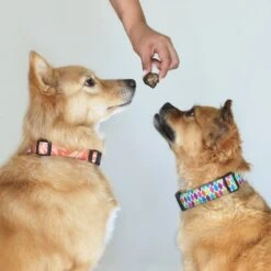 Topdiervoeding Runderlong Hondensnacks - Vers Gedroogd - Knapperig - 1 KG -Katten En Honden Verkoop Winkel 1200x1200 398