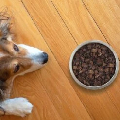 Topdiervoeding Runderlong Hondensnacks - Vers Gedroogd - Knapperig - 1 KG -Katten En Honden Verkoop Winkel 1200x1200 399