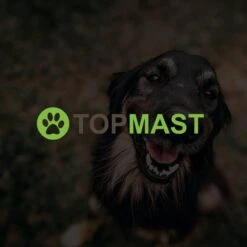 Merkloos Topmast Premium Puppyren - 120 Cm Hoog - 640 Cm Omtrek - Hondenren - Hondenhok - Zwart -Katten En Honden Verkoop Winkel 1200x1200 414