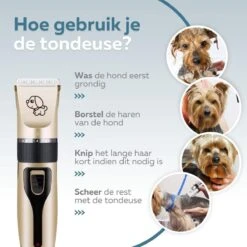 BYER Professionele Dieren Tondeuse Set - Voor Huisdieren Katten & Honden - Draadloos - Oplaadbare Pet Trimmer - Dog Tondeuze Clipper - 5 Standen & Vier Opzetkammen - Low Noise -Katten En Honden Verkoop Winkel 1200x1200 418