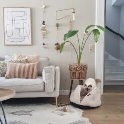 District 70 TUCK - Luxe & Comfortabele Mand Kleine Honden - Terra, Donkergrijs & Zand - 50x50x30 Cm - Zand -Katten En Honden Verkoop Winkel 1200x1200 420