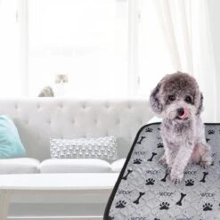 Jooba Puppy Training Pads - Wasbare Puppy Pads 2 Stuks - Hondentoilet - 70x50cm - Puppy -Katten En Honden Verkoop Winkel 1200x1200 425