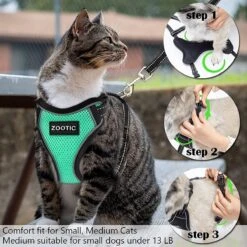Kattentuigje Met Leiband Riem Kattenharnas Groen Maat M Kat & Kitten - Dieren Kattenriem - Cat Leash - Halsomvang 20 Tot 26cm - Borstomvang 30 Tot 34cm - Zootic® -Katten En Honden Verkoop Winkel 1200x1200 446