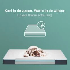 CozySense® - Orthopedisch Hondenkussen - Hondenkussen 60 X 40 Cm - Ook Geschikt Als Benchkussen & Hondenbed - Hondenkussen Bank - Traagschuim - Waterdicht - Wasbare Hoes - Maat S 11 CozySense® - Orthopedisch Hondenkussen - Hondenkussen 60 X 40 Cm - Ook Geschikt Als Benchkussen & Hondenbed - Hondenkussen Bank - Traagschuim - Waterdicht - Wasbare Hoes - Maat S -Katten En Honden Verkoop Winkel 1200x1200 48