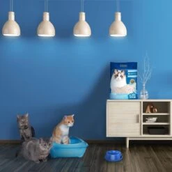 Nobleza 48REM - Tofu Kattenbakvulling - Snel Absorberend - 3.8 L - Klontvormend - 2 Kg -Katten En Honden Verkoop Winkel 1200x1200 485