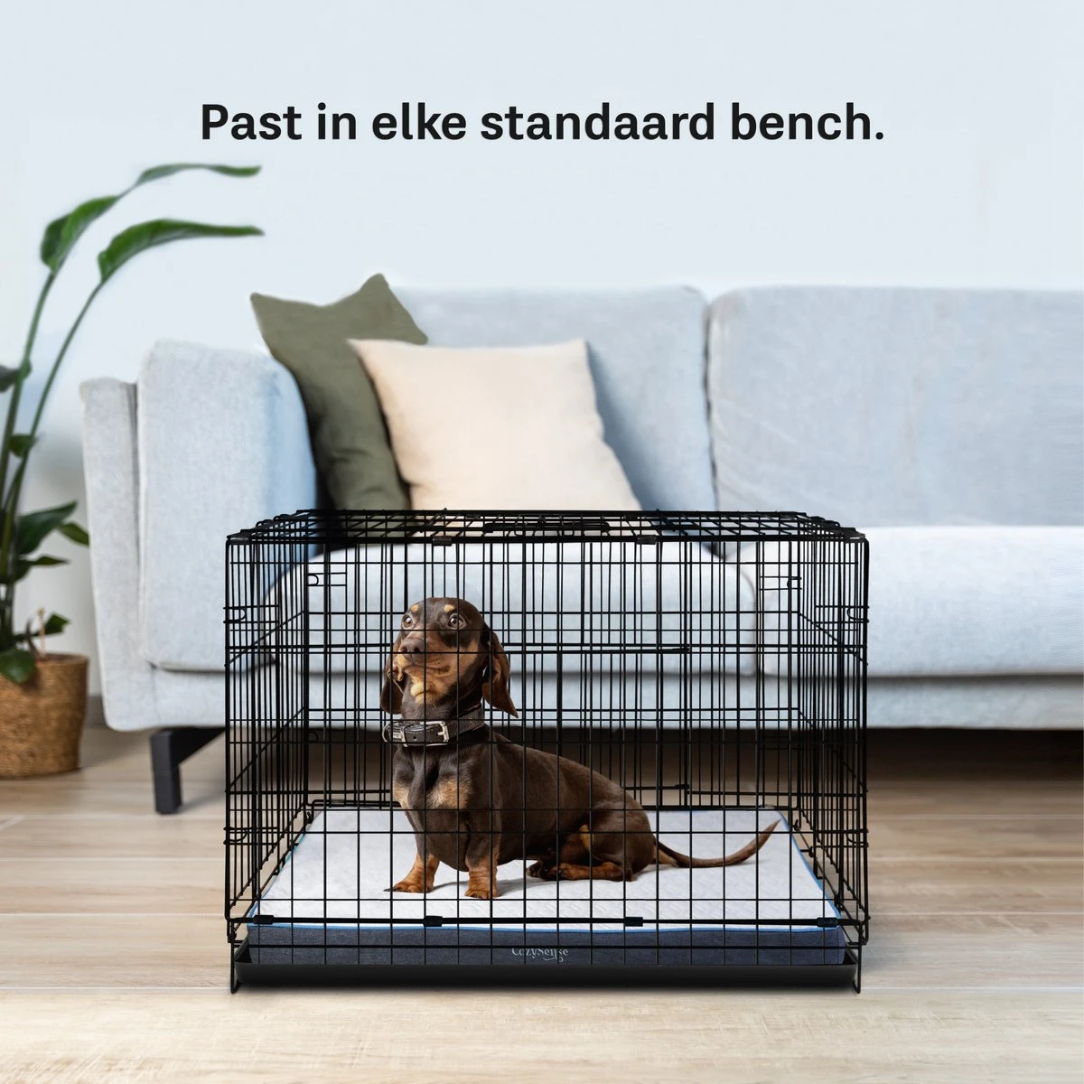 CozySense® - Orthopedisch Hondenkussen - Hondenkussen 60 X 40 Cm - Ook Geschikt Als Benchkussen & Hondenbed - Hondenkussen Bank - Traagschuim - Waterdicht - Wasbare Hoes - Maat S 5 CozySense® - Orthopedisch Hondenkussen - Hondenkussen 60 X 40 Cm - Ook Geschikt Als Benchkussen & Hondenbed - Hondenkussen Bank - Traagschuim - Waterdicht - Wasbare Hoes - Maat S - Afbeelding 5