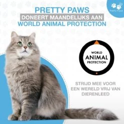 Pretty Paws PP002 Professionele Automatische Voerbak Kat- Stemrecorder - Voerautomaat - Katten Voerbak - Minimalistisch -Katten En Honden Verkoop Winkel 1200x1200 492