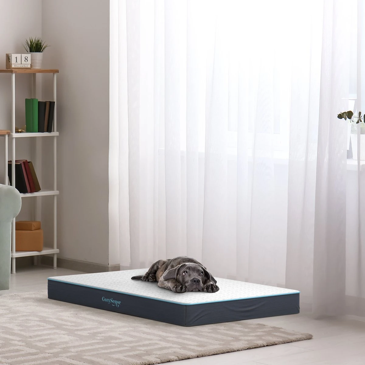 CozySense® - Orthopedisch Hondenkussen - Hondenkussen 60 X 40 Cm - Ook Geschikt Als Benchkussen & Hondenbed - Hondenkussen Bank - Traagschuim - Waterdicht - Wasbare Hoes - Maat S 6 CozySense® - Orthopedisch Hondenkussen - Hondenkussen 60 X 40 Cm - Ook Geschikt Als Benchkussen & Hondenbed - Hondenkussen Bank - Traagschuim - Waterdicht - Wasbare Hoes - Maat S - Afbeelding 6