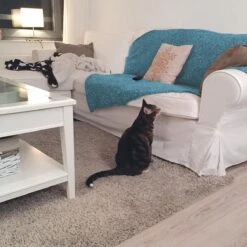 HG Tegen Urine Geur - 500 Ml - Effectief En Snel Resultaat - Neemt De Geur Definitief Weg -Katten En Honden Verkoop Winkel 1200x1200 503