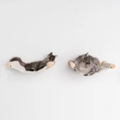 RHRQuality Wandmeubel Wandmontage Klimmuur Kat 53 X 43cm Luxe Hangmat XXL Creme Klim Wand Muur Krabpaal Katten Muurbevestiging -Katten En Honden Verkoop Winkel 1200x1200 533