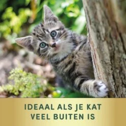 3 Stuks Vlooienband Kat Tekenband - 100% Natuurlijk Veilig En Waterbestendig -Katten En Honden Verkoop Winkel 1200x1200 545
