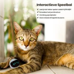 Otiume Interactieve Speelbal - Slimme Interactieve Jaag Speeltje Voor Katten - Kattenspeeltjes - Intelligente Jaagbal - AI -USB Oplaadbaar - LED - Blauw -Katten En Honden Verkoop Winkel 1200x1200 559