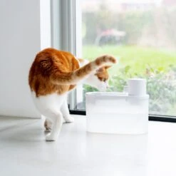 Hoopo® Agua - DRAADLOZE Waterfontein Katten - SMART Waterfontein Katten - UVC Disinfectie - 2 Liter - Automatische Katten Fontein 12 Hoopo® Agua - DRAADLOZE Waterfontein Katten - SMART Waterfontein Katten - UVC Disinfectie - 2 Liter - Automatische Katten Fontein -Katten En Honden Verkoop Winkel 1200x1200 572