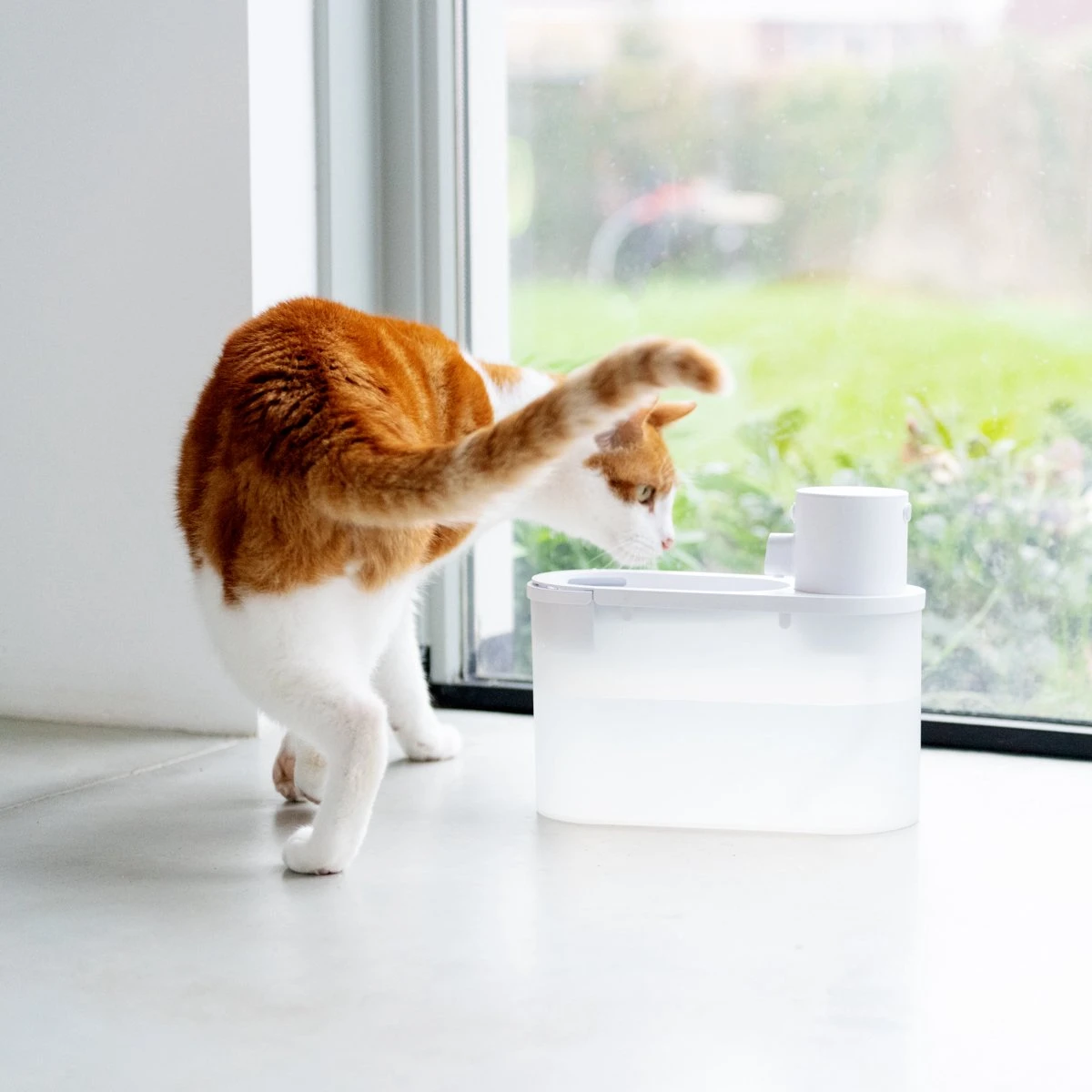 Hoopo® Agua - DRAADLOZE Waterfontein Katten - SMART Waterfontein Katten - UVC Disinfectie - 2 Liter - Automatische Katten Fontein 5 Hoopo® Agua - DRAADLOZE Waterfontein Katten - SMART Waterfontein Katten - UVC Disinfectie - 2 Liter - Automatische Katten Fontein - Afbeelding 5