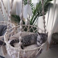 Bonbox Shop - Macrame Hangmat Voor Katten En Kittens - Kattenhammock - Hangmand -Katten En Honden Verkoop Winkel 1200x1200 578
