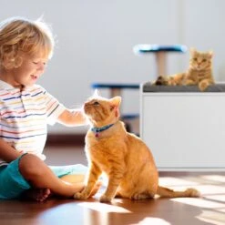 Relaxdays Kattenbak Ombouw - Met Zitkussen - Kattenhuis Wit - Kattenmeubel - Kattenkast 13 Relaxdays Kattenbak Ombouw - Met Zitkussen - Kattenhuis Wit - Kattenmeubel - Kattenkast -Katten En Honden Verkoop Winkel 1200x1200 589