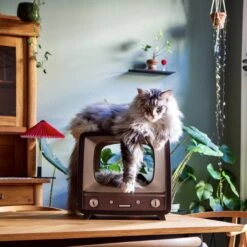 Katten En Honden Verkoop Winkel 32 District 70 TELLY - Retro TV Krabmeubel - Instagrammable Kartonnen TV Voor Katten - 39 X 27 X 37 Cm